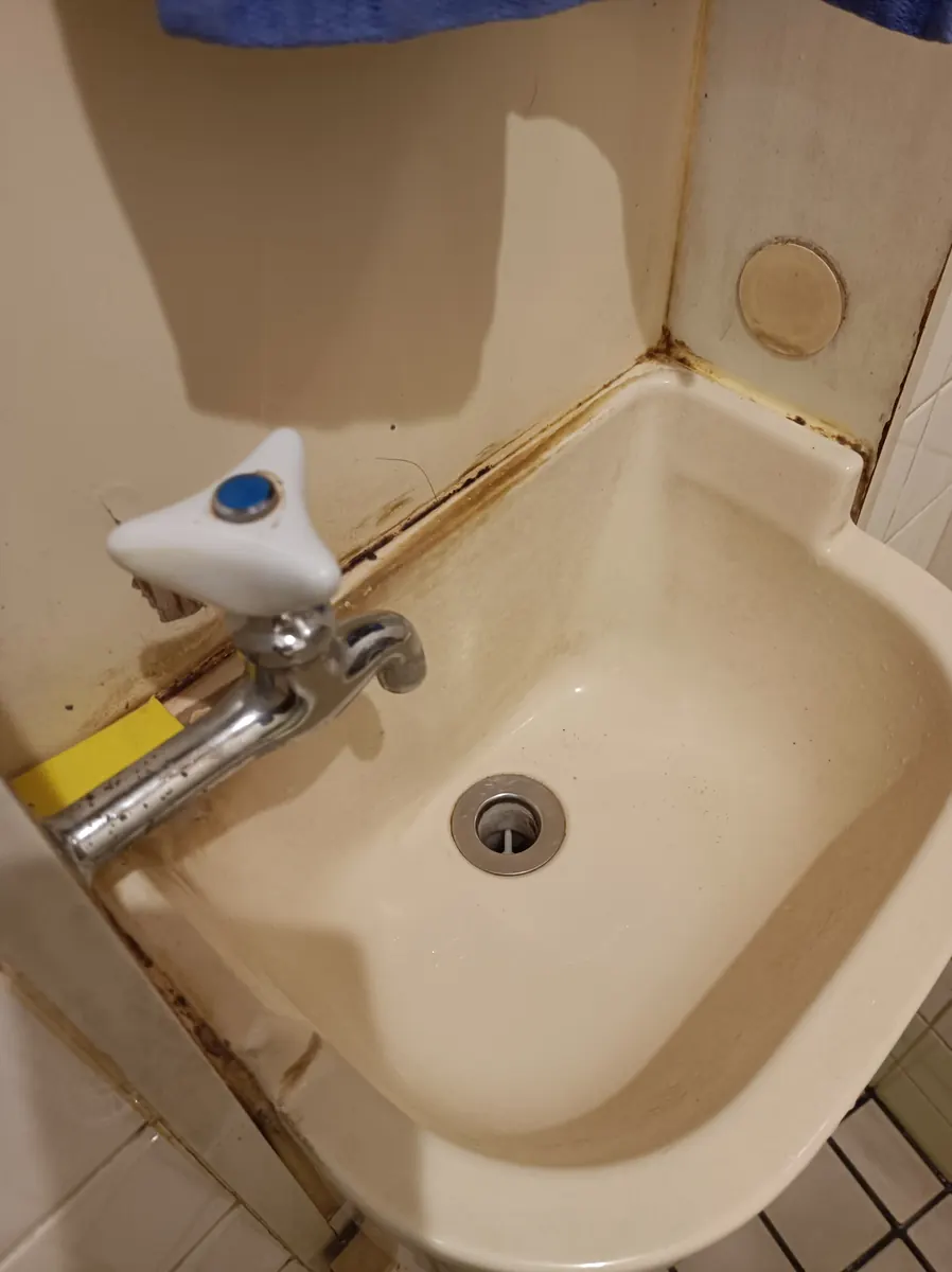 手洗い器・壁のカビ（施工前の状態）